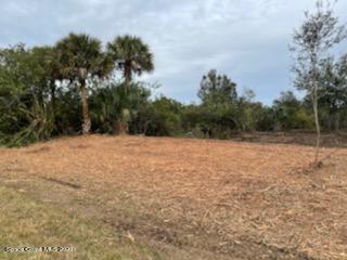 320 Deer Run Road Palm Bay, FL 32909 - Photo 5 of 15 IMG_0131