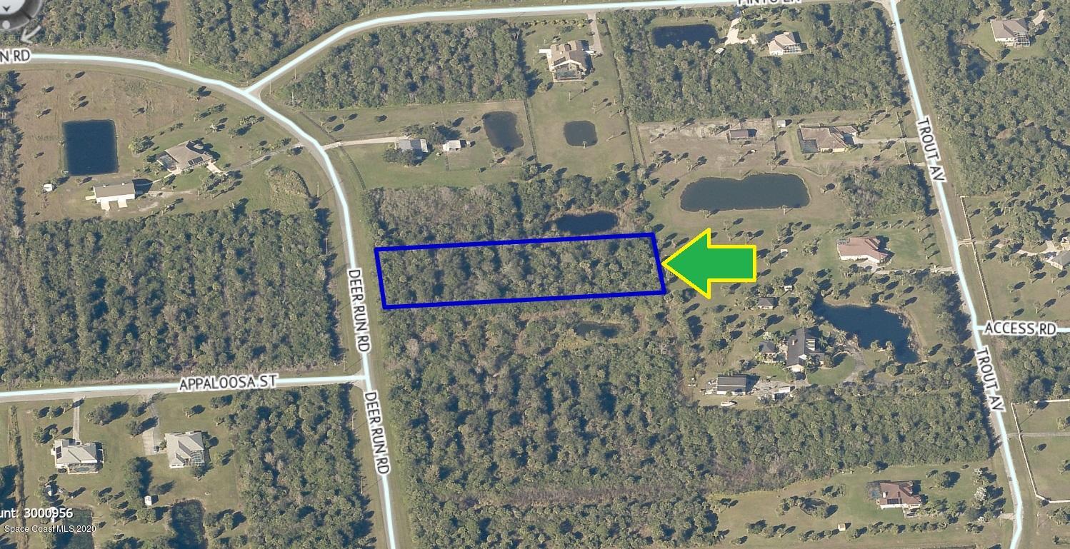 320 Deer Run Road Palm Bay, FL 32909 - Photo 7 of 15 320DeerRunPict
