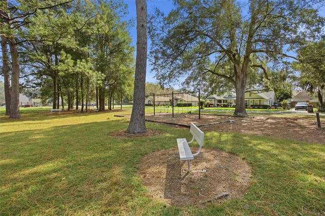 a big yard with lots of trees