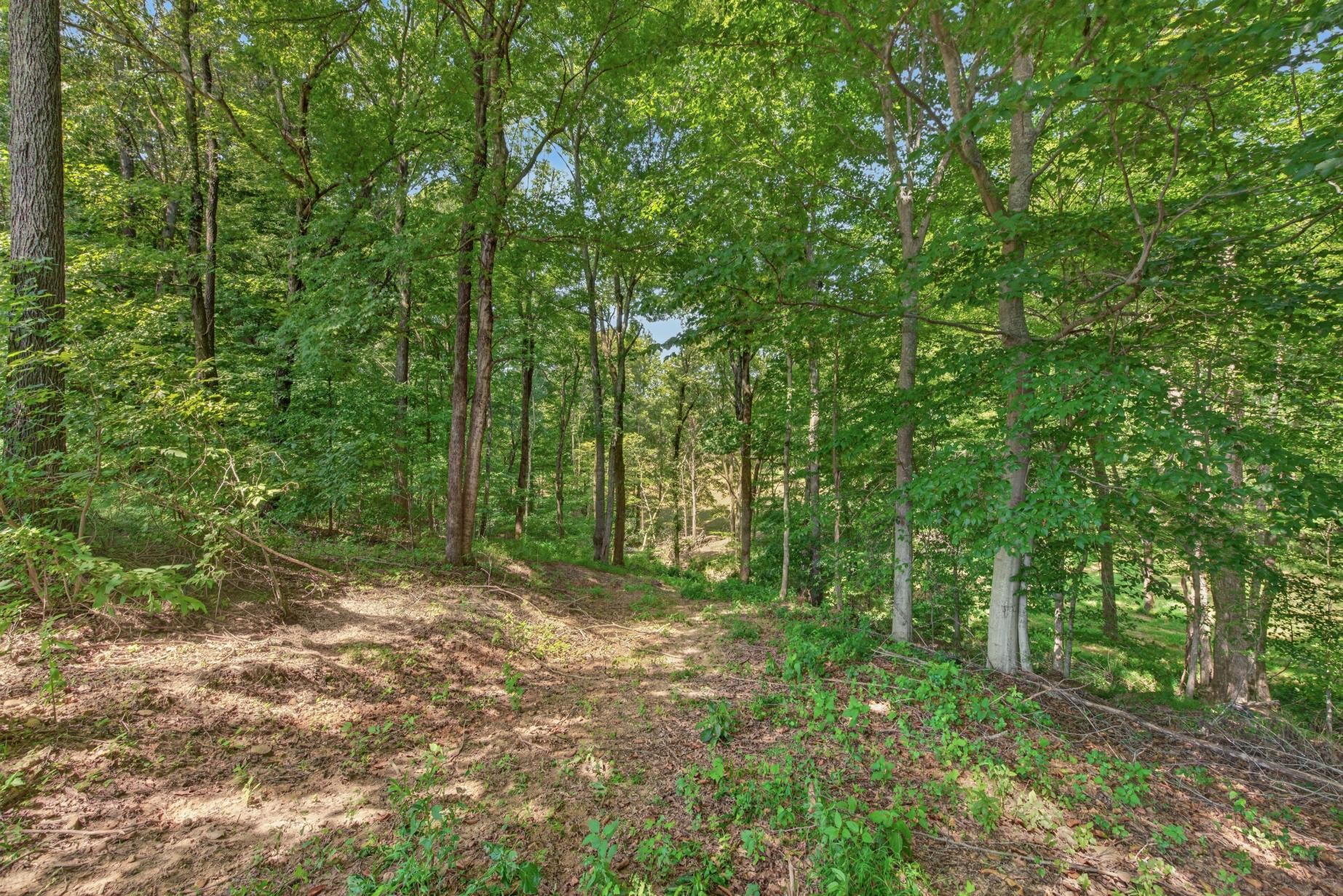 635 Houston Fielder Road Clarksville, TN 37043 - Photo 25 of 37 Gallery Image 25