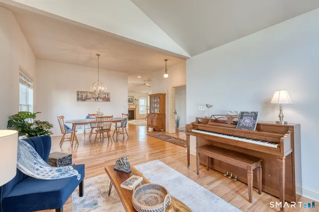 a living room with furniture a dining table and a potted plant