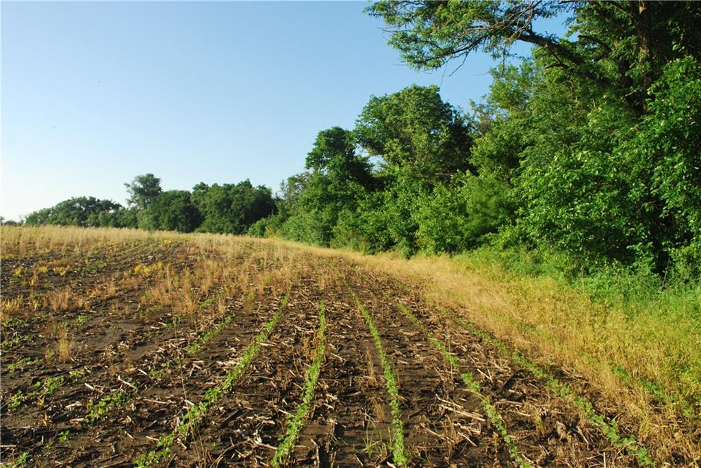 0 142nd Road Meriden, KS 66512 - Photo 17 of 22