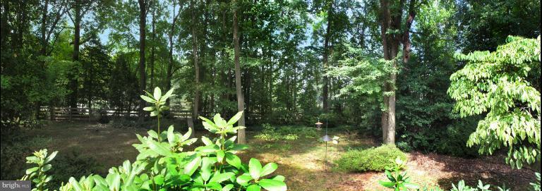 1308 Deep Run Lane Reston, VA 20190 - Photo 2 of 30 Tremendous Backyard