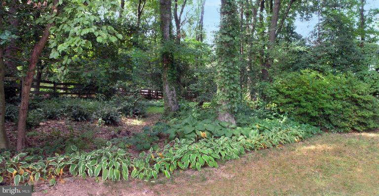 1308 Deep Run Lane Reston, VA 20190 - Photo 9 of 30 Backyard Gardens