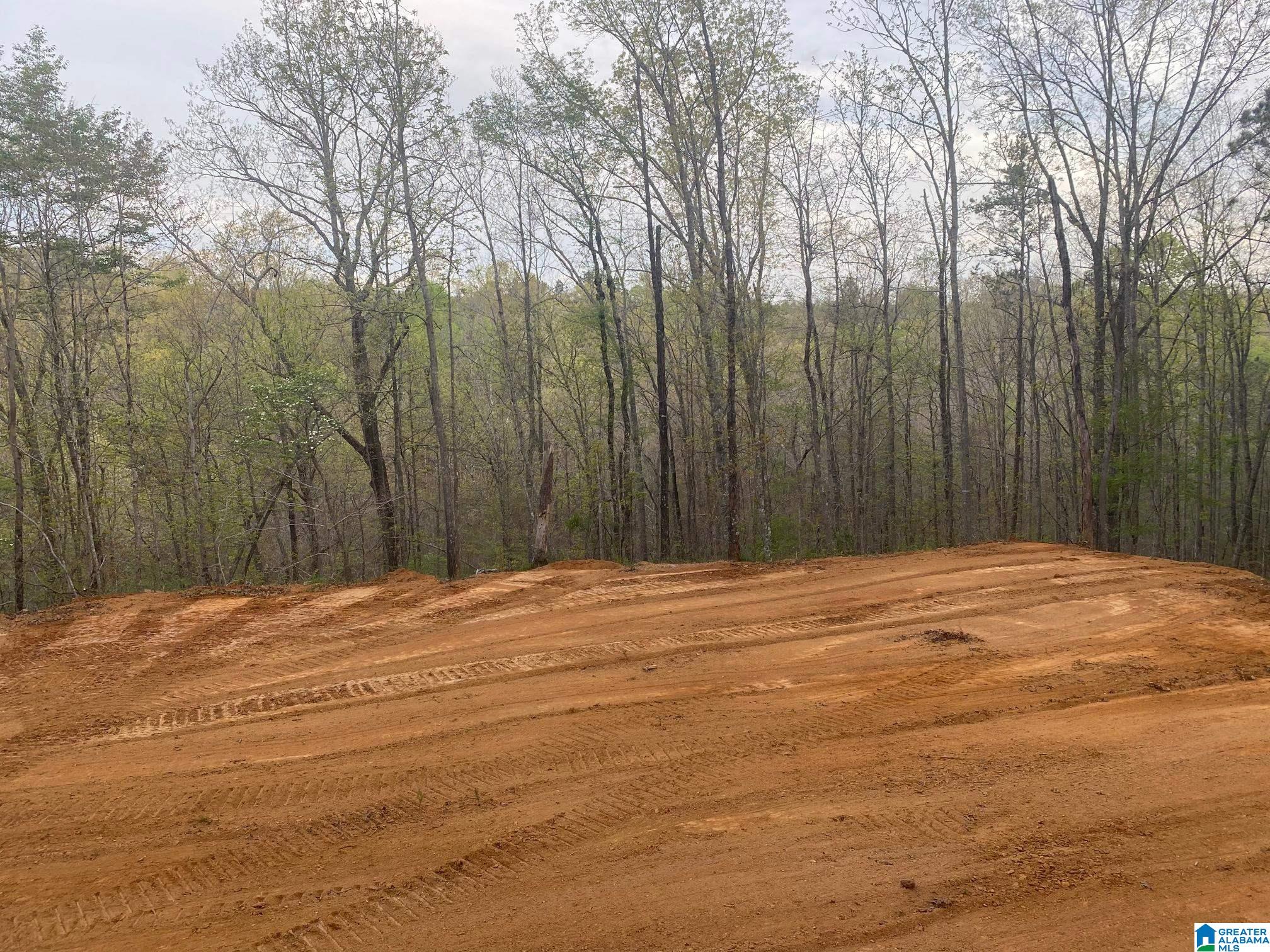 707 Sequoyah Road, Unit 1 Pell City, AL 35128 - Photo 1 of 18