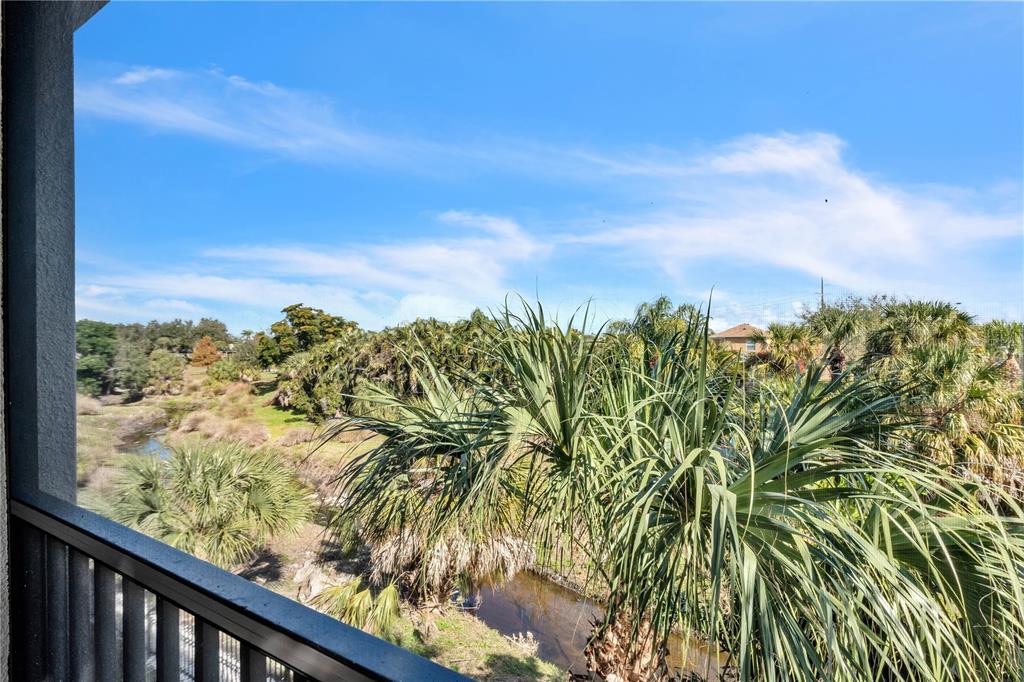 7250 Hamilton Road, Unit 7250 Bradenton, FL 34209 - Photo 16 of 34 a view of a garden with plants