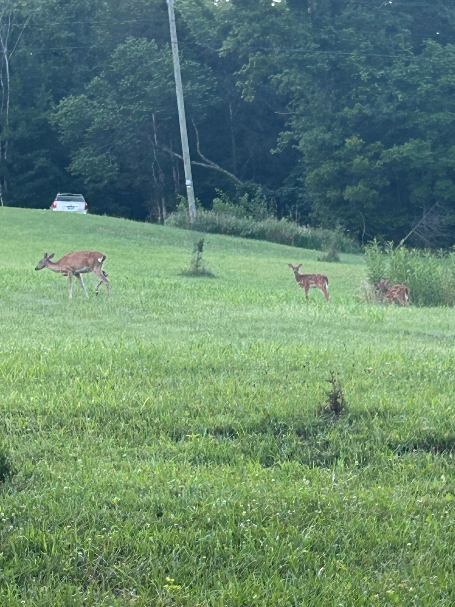 6357 Cecil Fields Road Union, KY 41091 - Photo 23 of 32