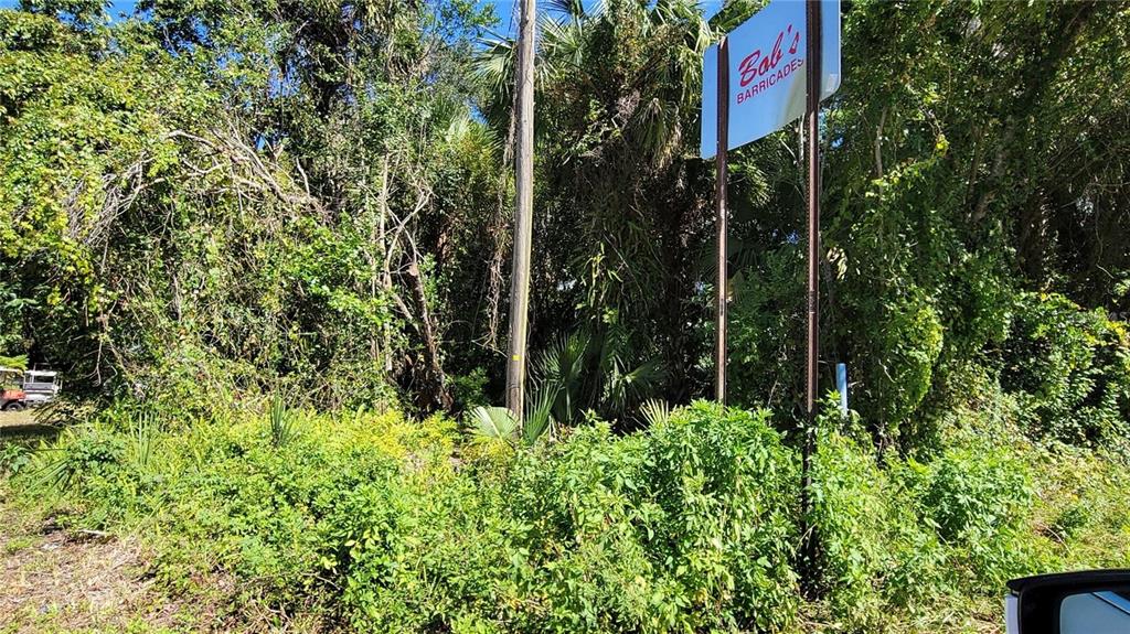 Lakeview Street DeLand, FL 32724 - Photo 2 of 7 a view of a bunch of plants
