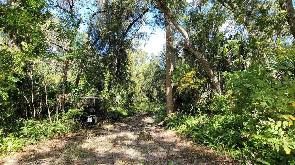Lakeview Street DeLand, FL 32724 - Photo 7 of 7 a view of outdoor space and trees