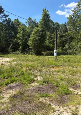 867 Claude Kelly Road Deridder, LA 70634 - Photo 2 of 6