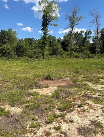 867 Claude Kelly Road Deridder, LA 70634 - Photo 3 of 6