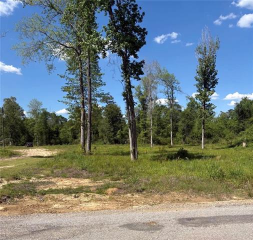 867 Claude Kelly Road Deridder, LA 70634 - Photo 4 of 6