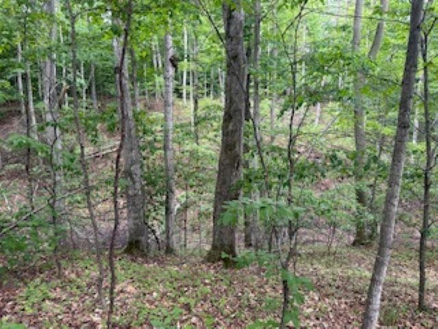 V/l McKinney Road Central Lake, MI 49622 - Photo 20 of 29