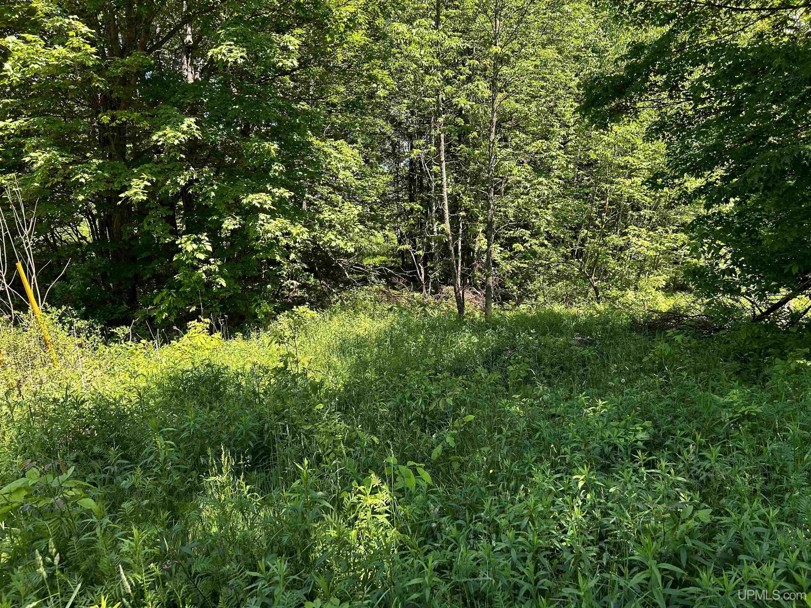 Tbd Tbd Burma Parcel B Road Bessemer, MI 49911 - Photo 5 of 10