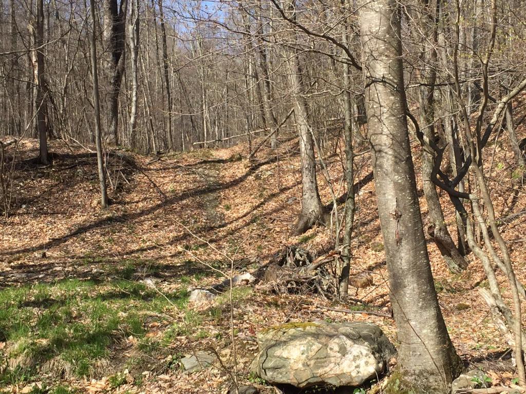 0 West Road Sandgate, VT 05250 - Photo 2 of 12 Gallery Image 2