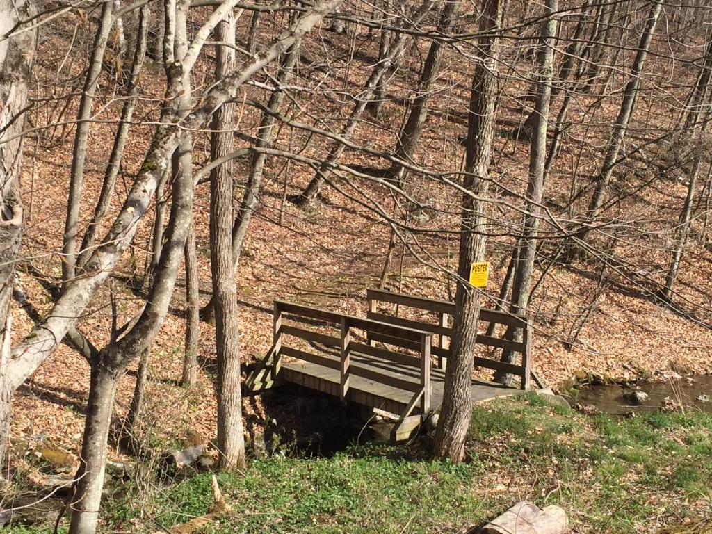 0 West Road Sandgate, VT 05250 - Photo 3 of 12 Gallery Image 3