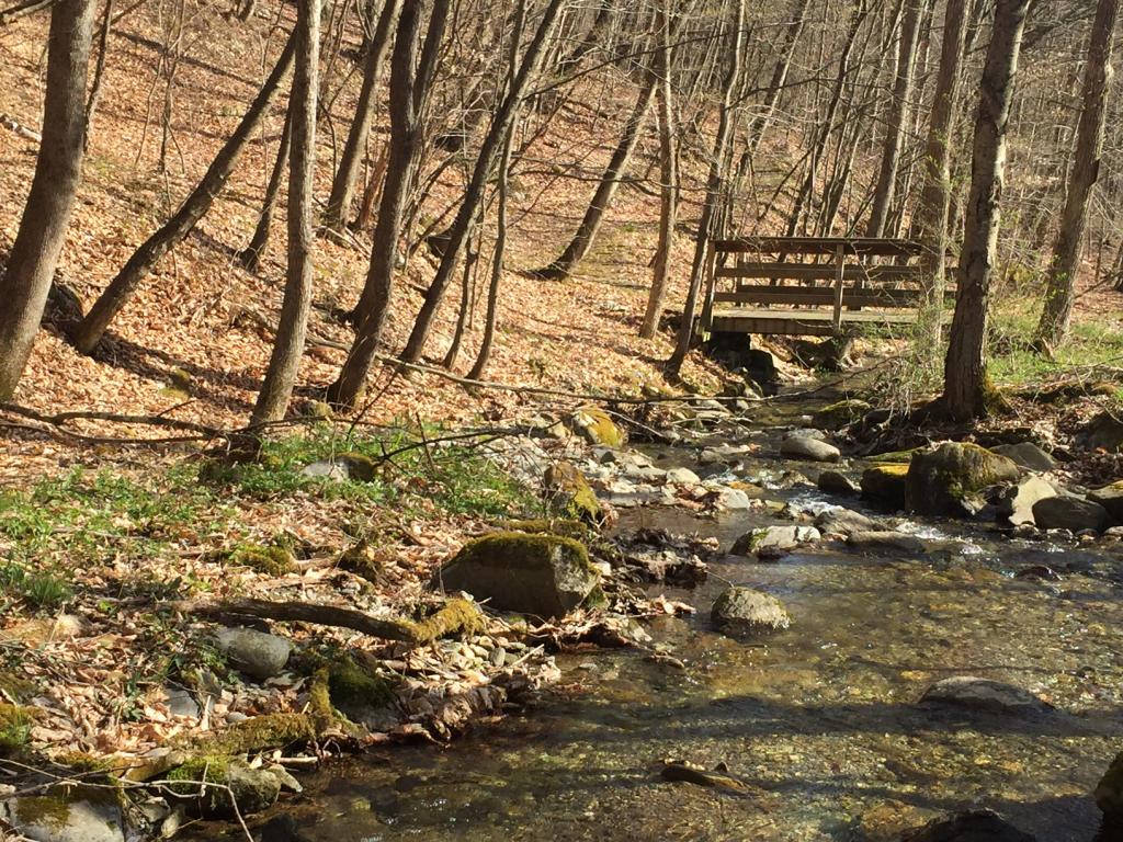 0 West Road Sandgate, VT 05250 - Photo 4 of 12 Gallery Image 4