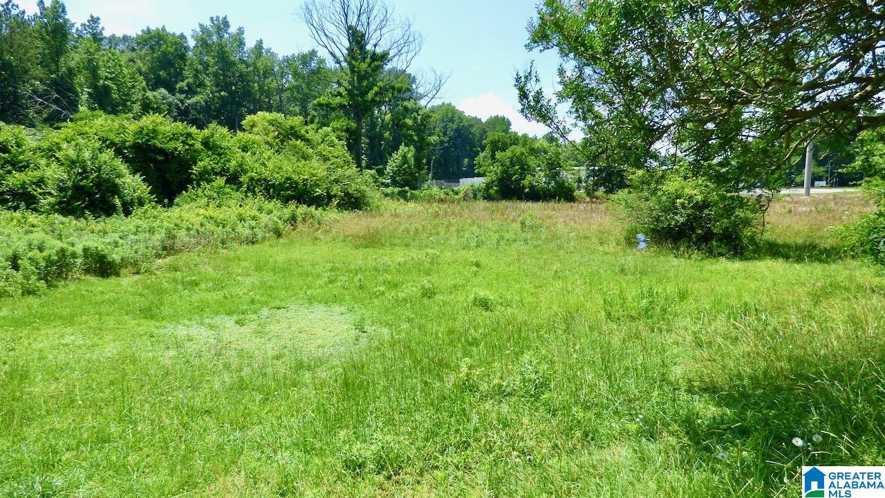 3801 7th Street North Clanton, AL 35045 - Photo 13 of 13