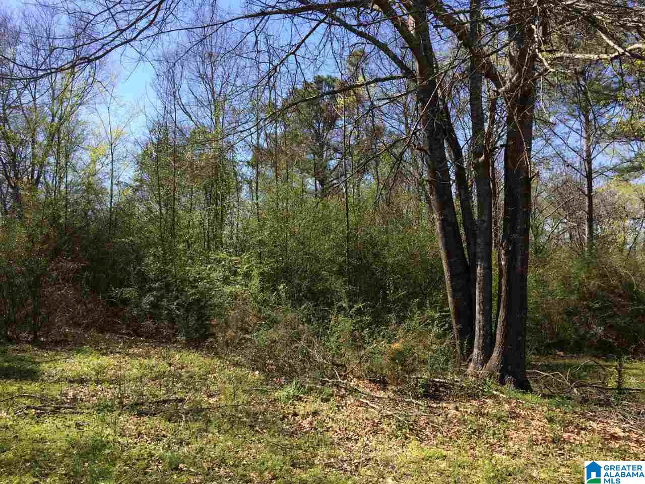 441 Pine Grove Road Oneonta, AL 35121 - Photo 39 of 44 Gallery Image 39
