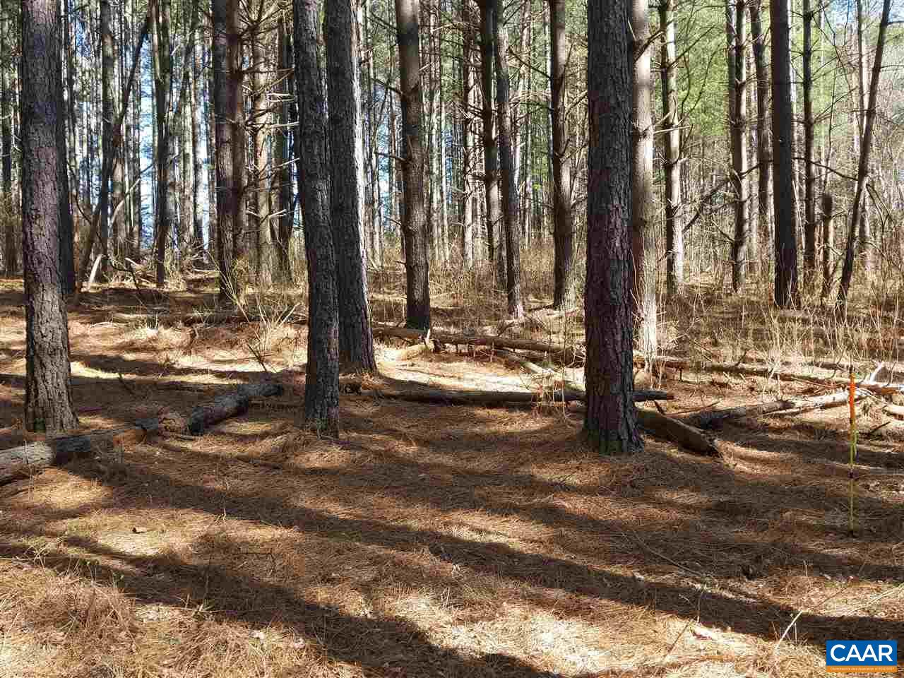Lot 27 Guildford Farm Road Ruckersville, VA 22968 - Photo 3 of 10 a view of water with large trees