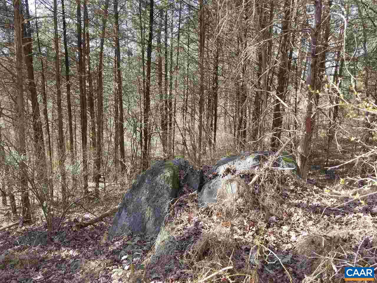 Lot 27 Guildford Farm Road Ruckersville, VA 22968 - Photo 5 of 10 a view of a yard