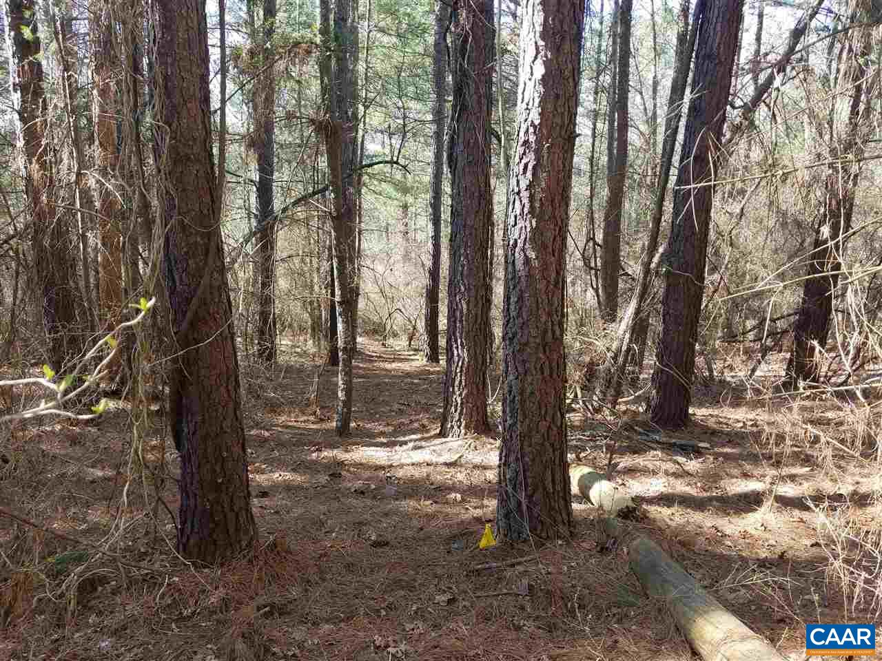 Lot 27 Guildford Farm Road Ruckersville, VA 22968 - Photo 6 of 10 a view of outdoor space with lots of trees