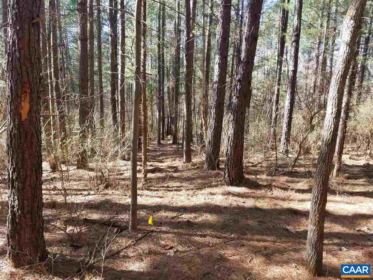 Lot 27 Guildford Farm Road Ruckersville, VA 22968 - Photo 7 of 10 a view of a yard with trees