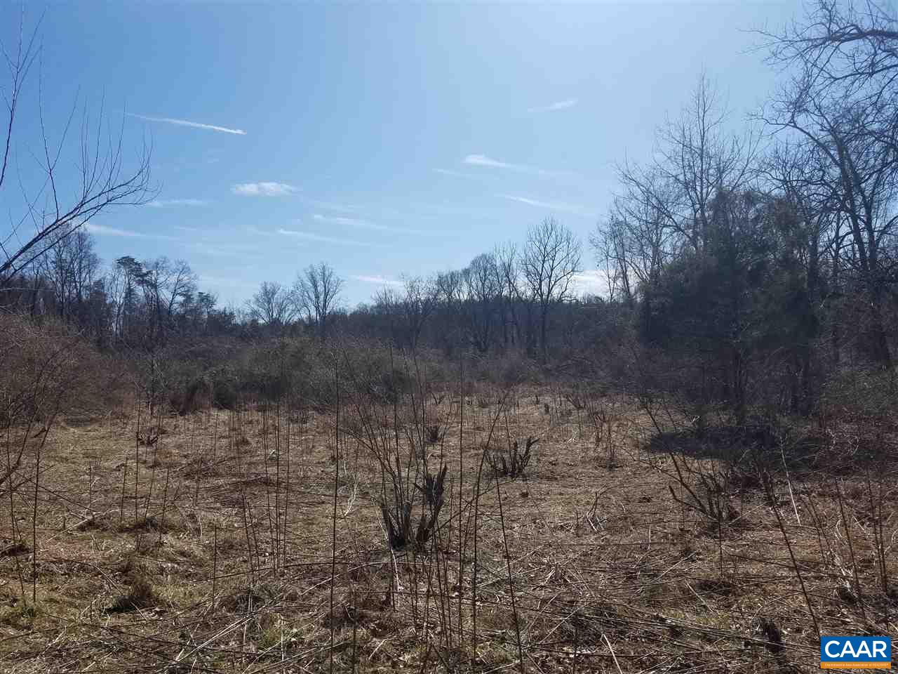 Lot 27 Guildford Farm Road Ruckersville, VA 22968 - Photo 8 of 10 a view of a dry yard with trees in the background