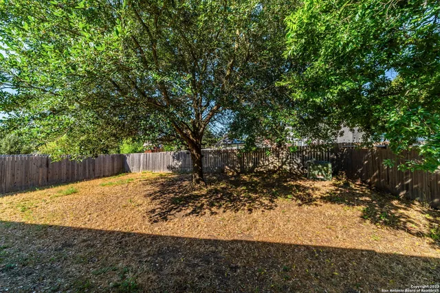 a view of a backyard with a tree
