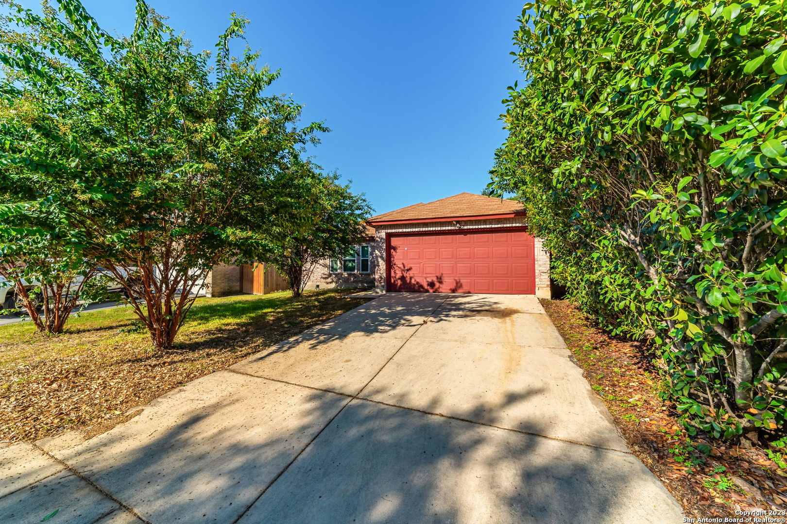 8422 Parry Path Converse, TX 78109 - Photo 36 of 36 a view of a yard with plants and trees