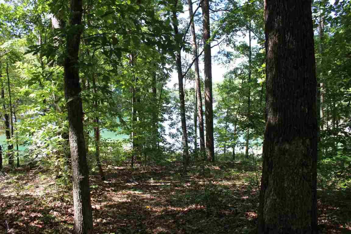Lot 227 Waterford Pointe Mapleleaf Way, Unit MAPLELEAF WAY Seneca, SC 29672 - Photo 20 of 23 Gallery Image 20