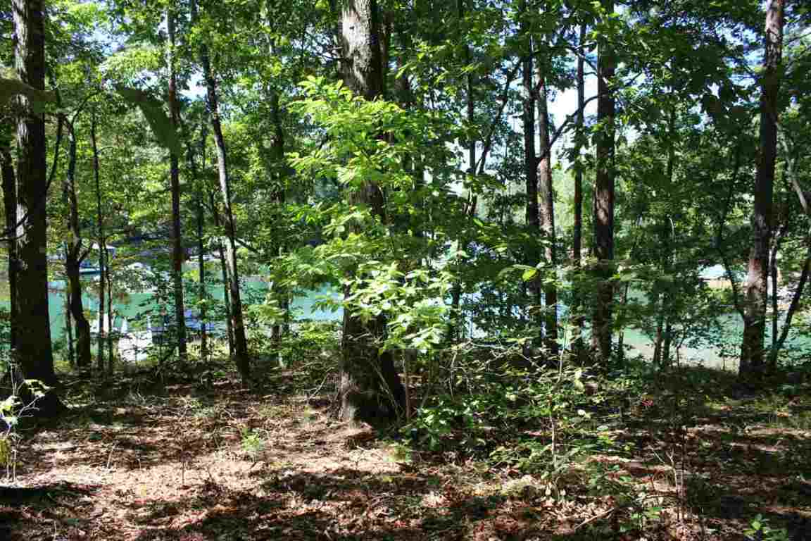 Lot 227 Waterford Pointe Mapleleaf Way, Unit MAPLELEAF WAY Seneca, SC 29672 - Photo 21 of 23 Gallery Image 21