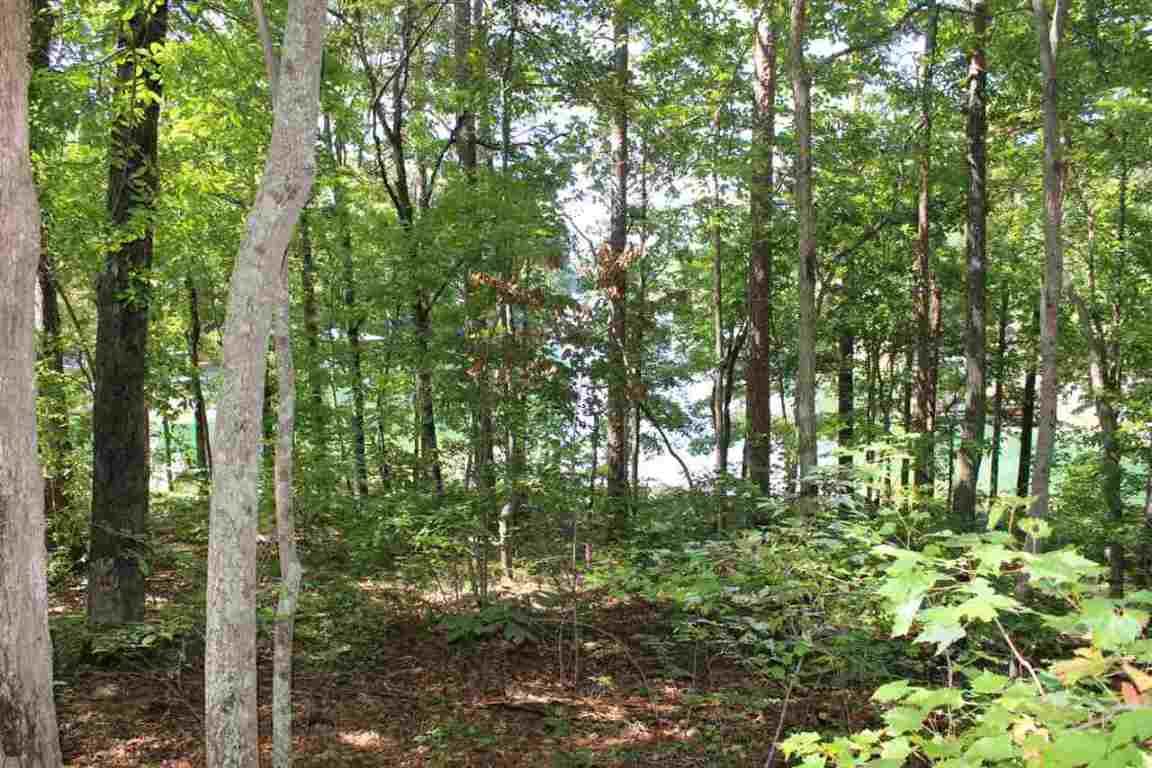 Lot 227 Waterford Pointe Mapleleaf Way, Unit MAPLELEAF WAY Seneca, SC 29672 - Photo 22 of 23 Gallery Image 22