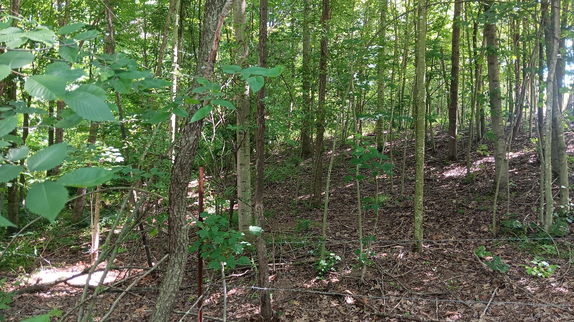 0 681st Road, Unit ALBANY HIDEAWAY TRACT 4) Albany, OH 45710 - Photo 19 of 47