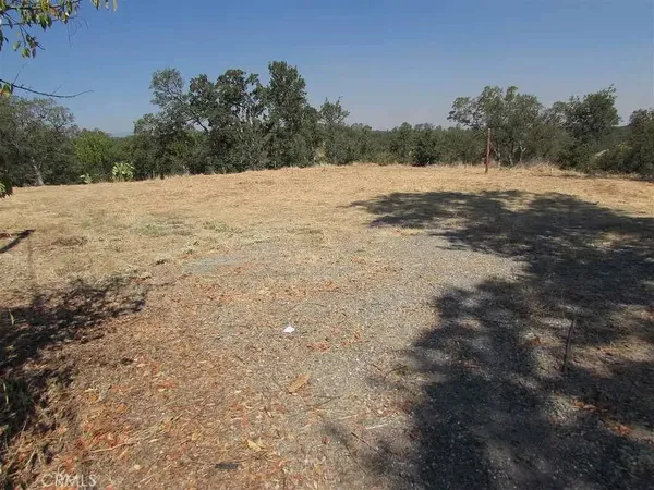 a view of dirt field with trees in background