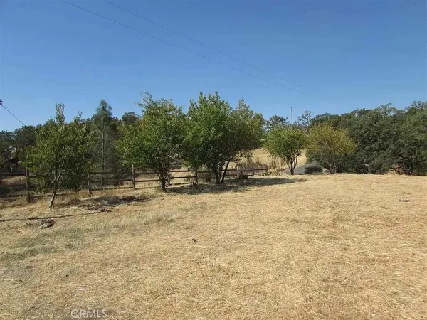 a view of a yard with trees