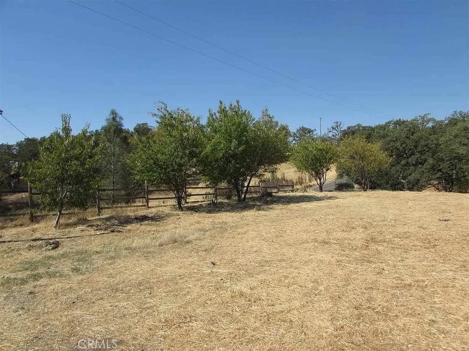 16368 Lariat Loop Corning, CA 96021 - Photo 6 of 7 a view of a yard with trees