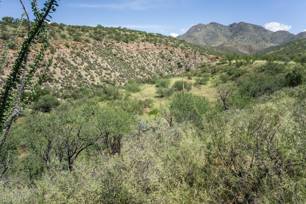 280 Circulo Cerro, Unit 31 Rio Rico, AZ 85648 - Photo 6 of 8