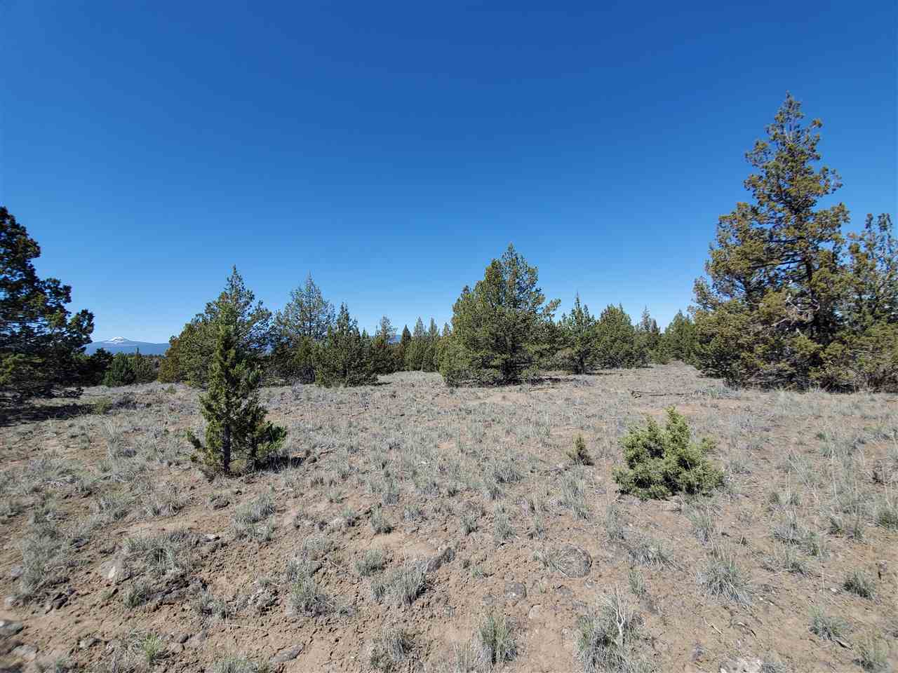 Off Homeland Rd Off Homeland Road Macdoel, CA 96058 - Photo 15 of 24 Gallery Image 15