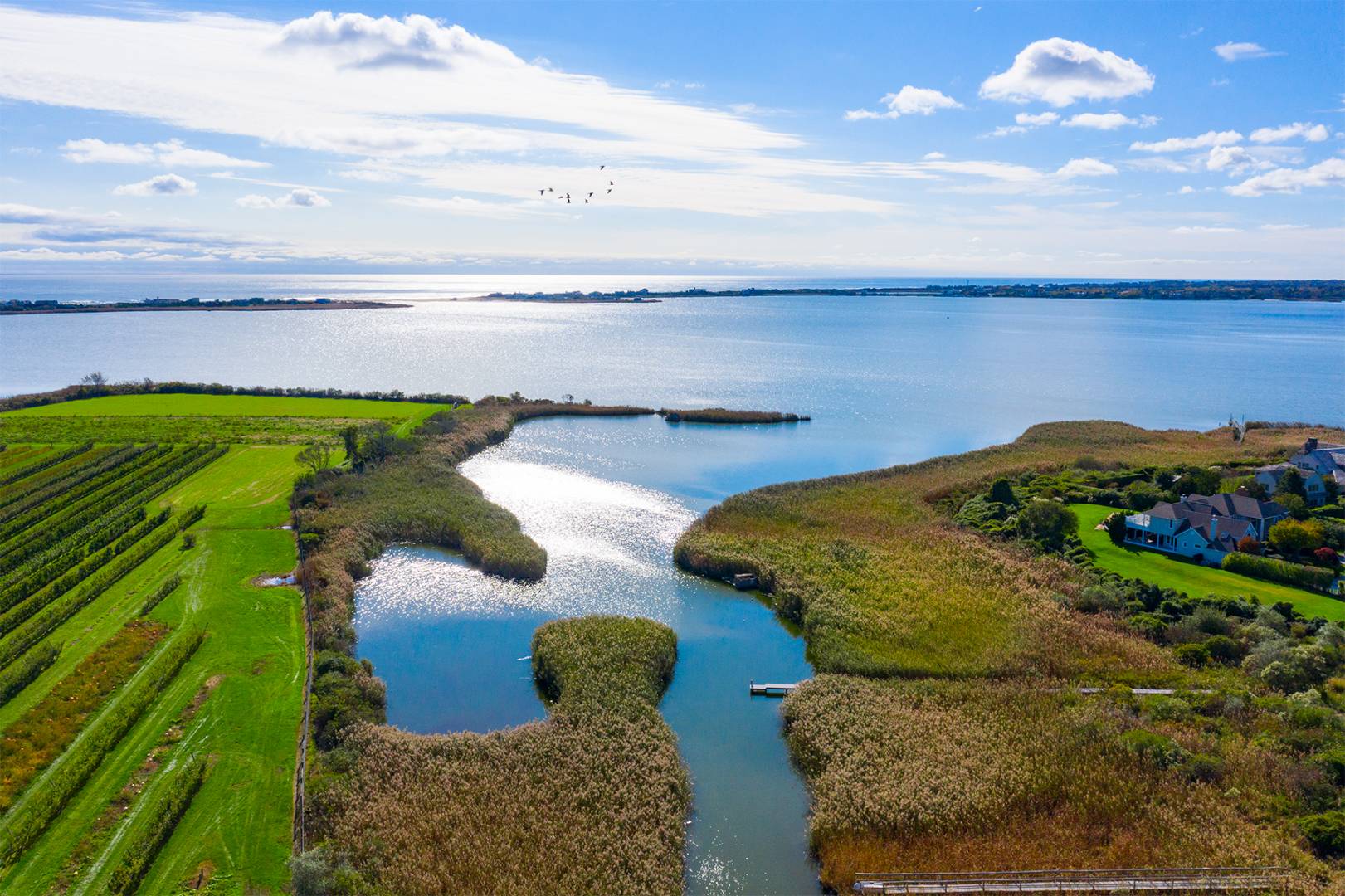 677 Mecox Road Water Mill, NY 11976 - Photo 11 of 24 a view of a garden