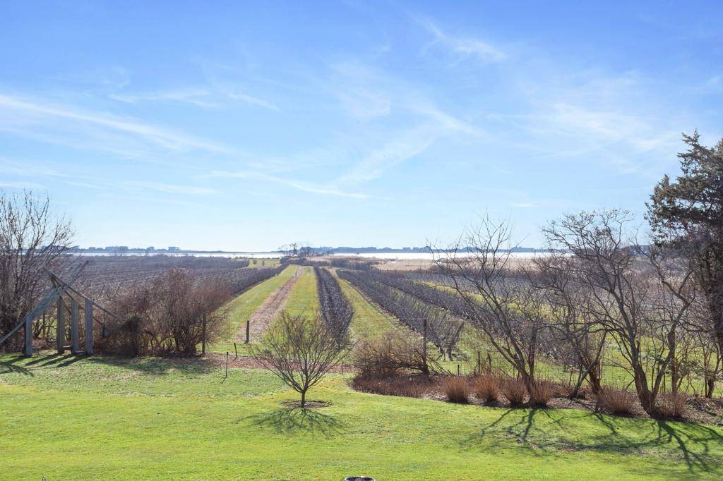 677 Mecox Road Water Mill, NY 11976 - Photo 4 of 24 a view of swimming pool from a garden