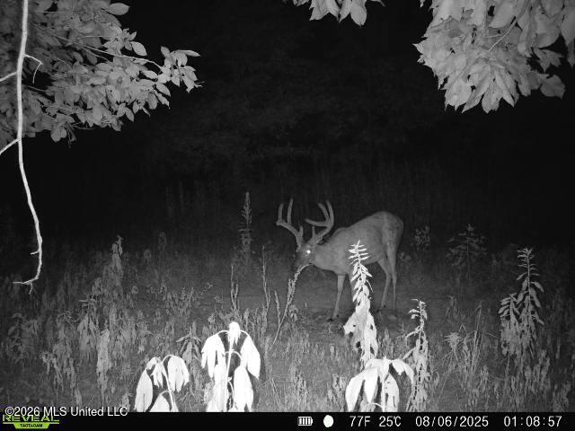 1 Highway 3 Lambert, MS 38643 - Photo 23 of 102 24893C3C-2036-4F9E-B799-7750001E5A78
