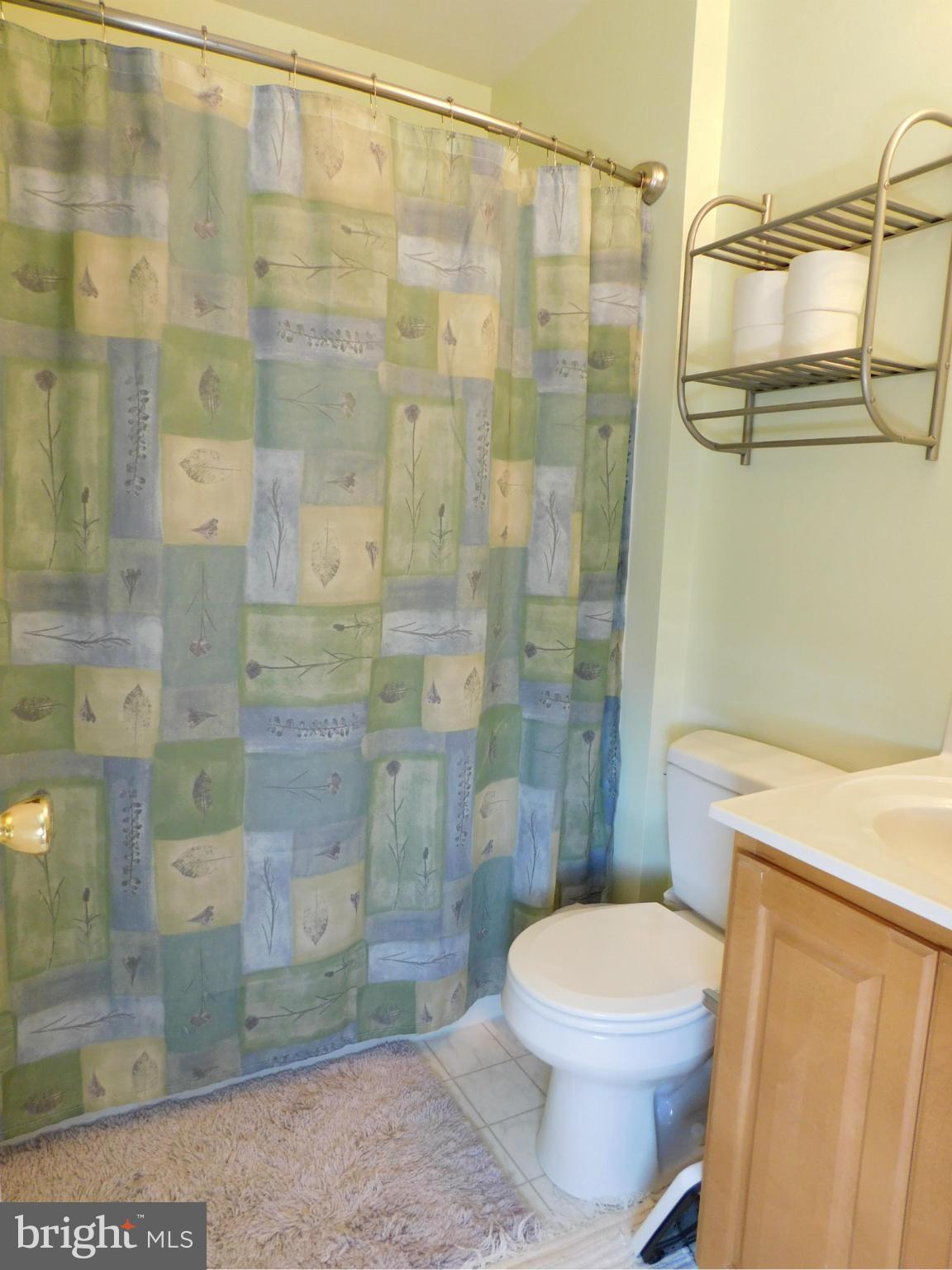 179 Mill Road Chambersburg, PA 17201 - Photo 12 of 20 Bath (Master)