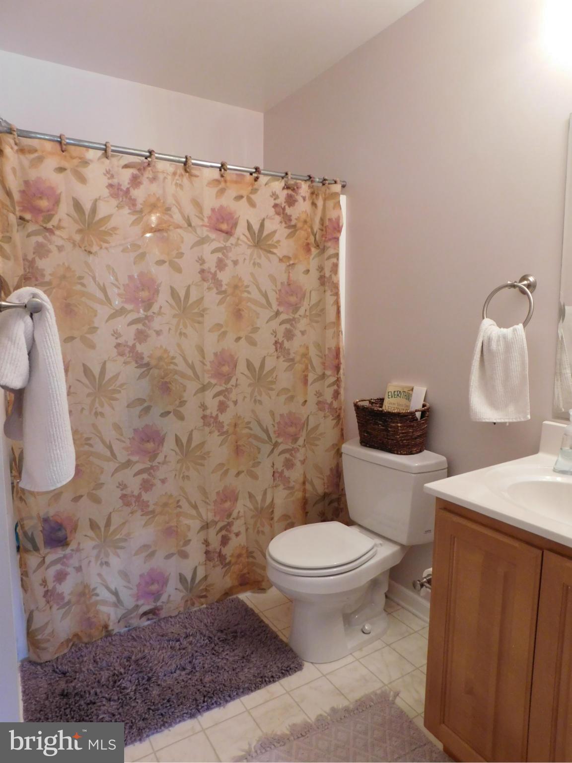 179 Mill Road Chambersburg, PA 17201 - Photo 13 of 20 Bath