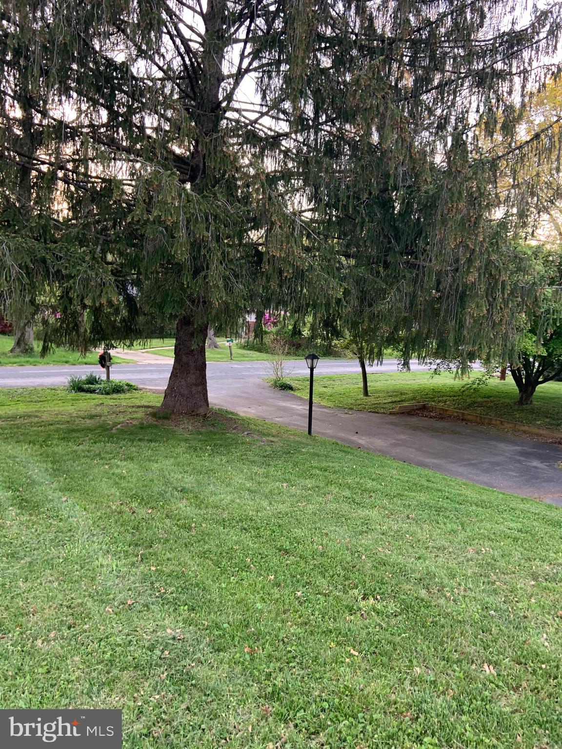 14813 Harold Road Silver Spring, MD 20905 - Photo 72 of 79 Exterior Front - Springtime