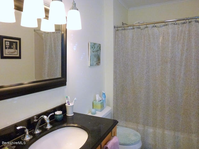 46 Stratton Road Williamstown, MA 01267 - Photo 5 of 21 Bath1.view2