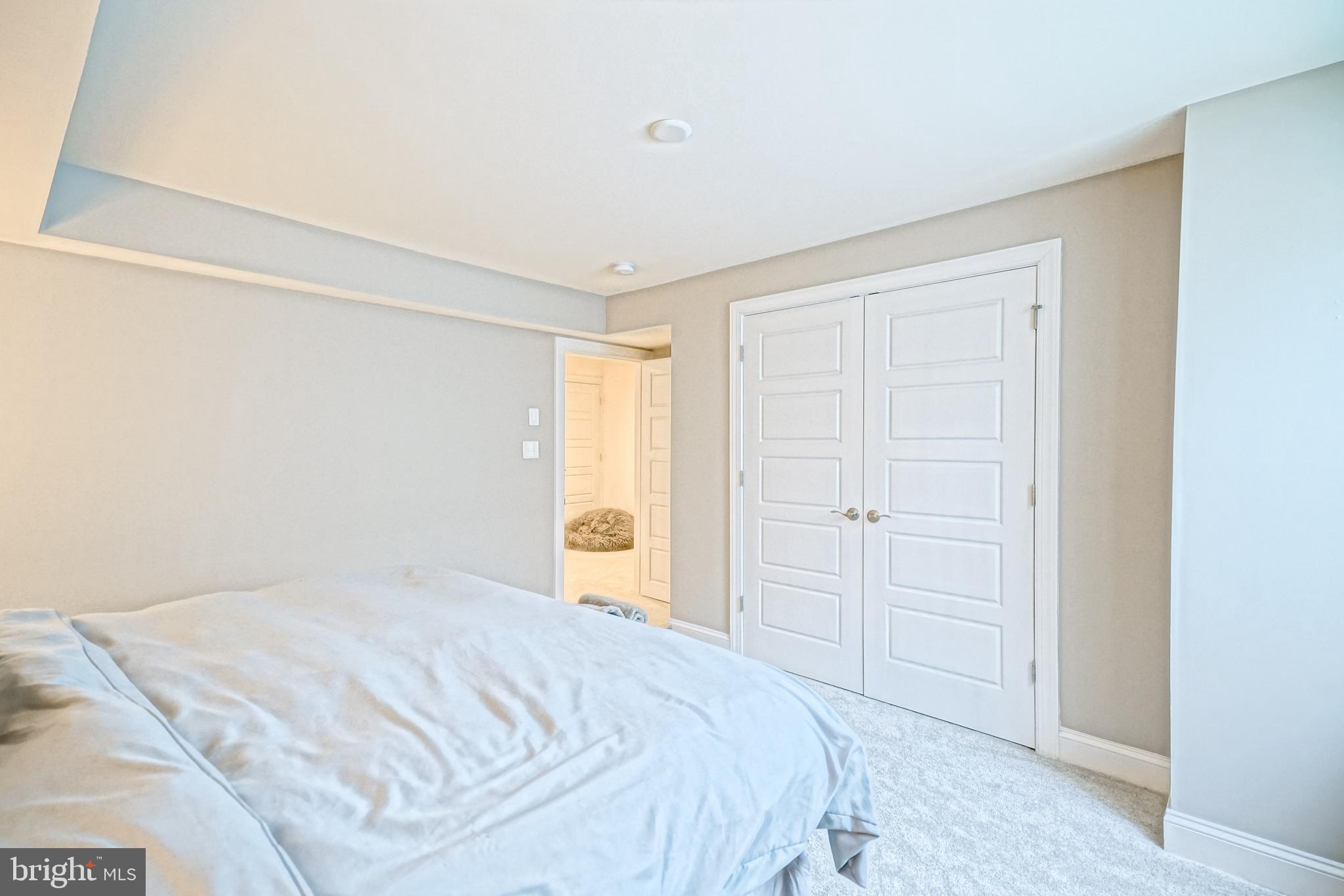 11078 Marvil Road Lewes, DE 19958 - Photo 69 of 98 a bedroom with a bed and a closet