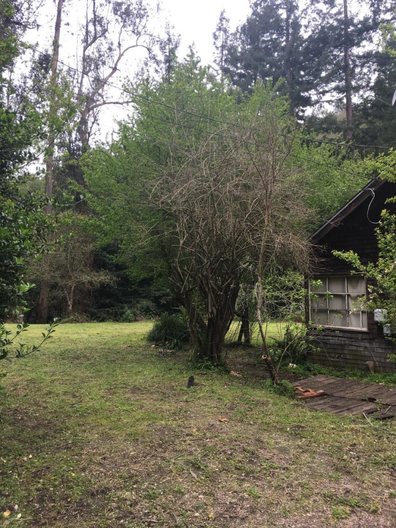 990 North Rodeo Gulch Road Soquel, CA 95073 - Photo 5 of 8 a view of a yard