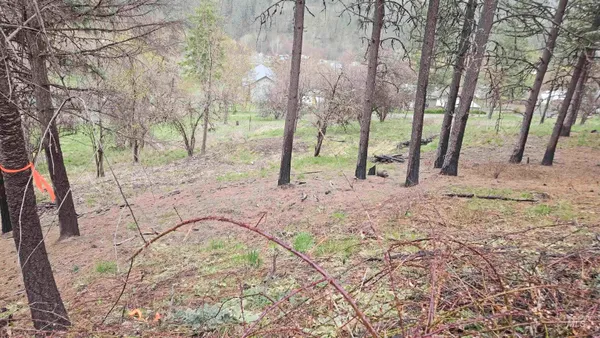 $42,000 | 56 Peck Id 83545, Peck, ID 83545