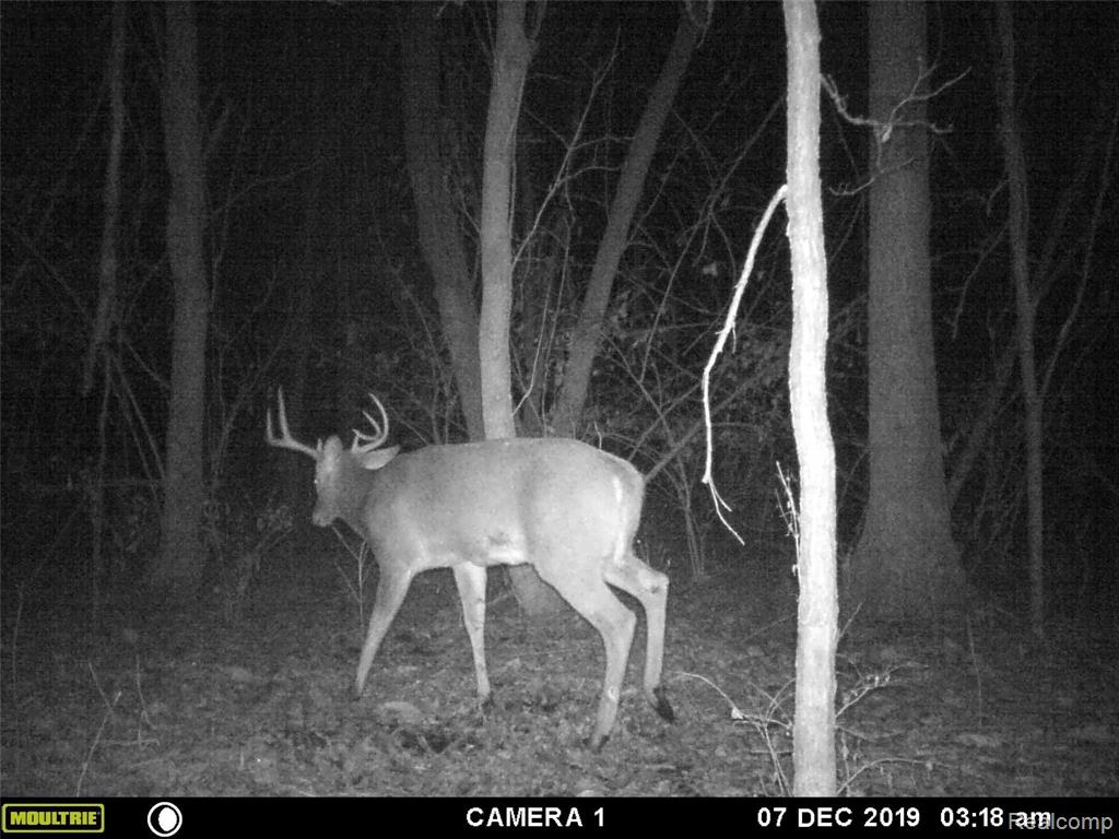 4100 Blackman Road Jackson, MI 49201 - Photo 15 of 26